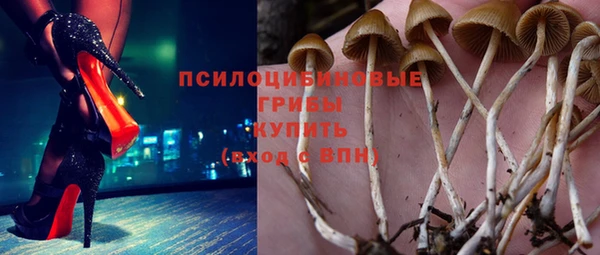 соль ск Дмитровск