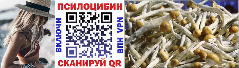 Галлюциногенные грибы GOLDEN TEACHER  Купить где  Новочеркасск 